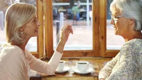 senior women talking to each other in cafe 4k