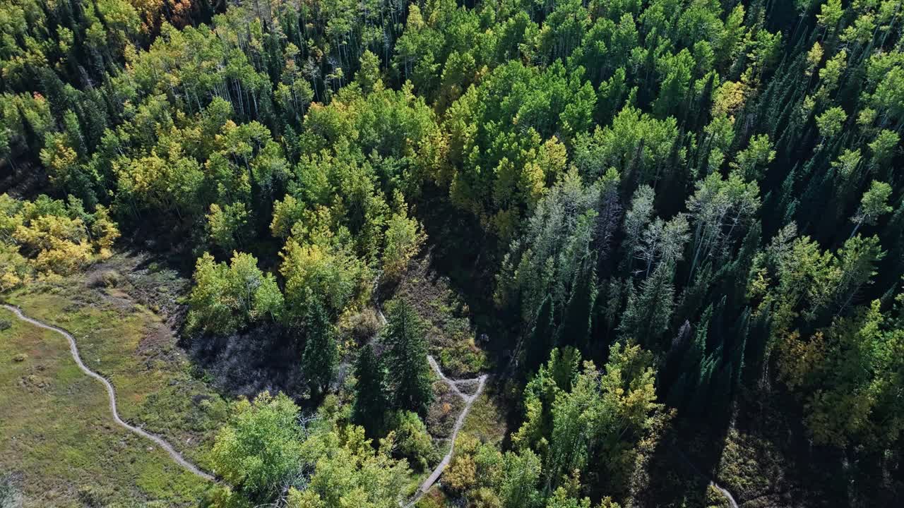Scenic fall mountain landscape over Snowmass Village, Aspen, autumn foliage with hiking trails through forest