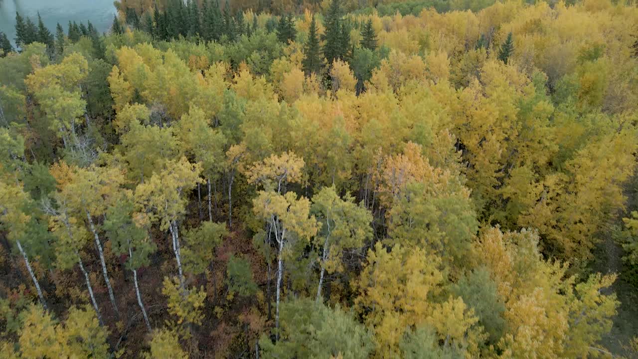vista aérea del valle del río en devon alberta canadá