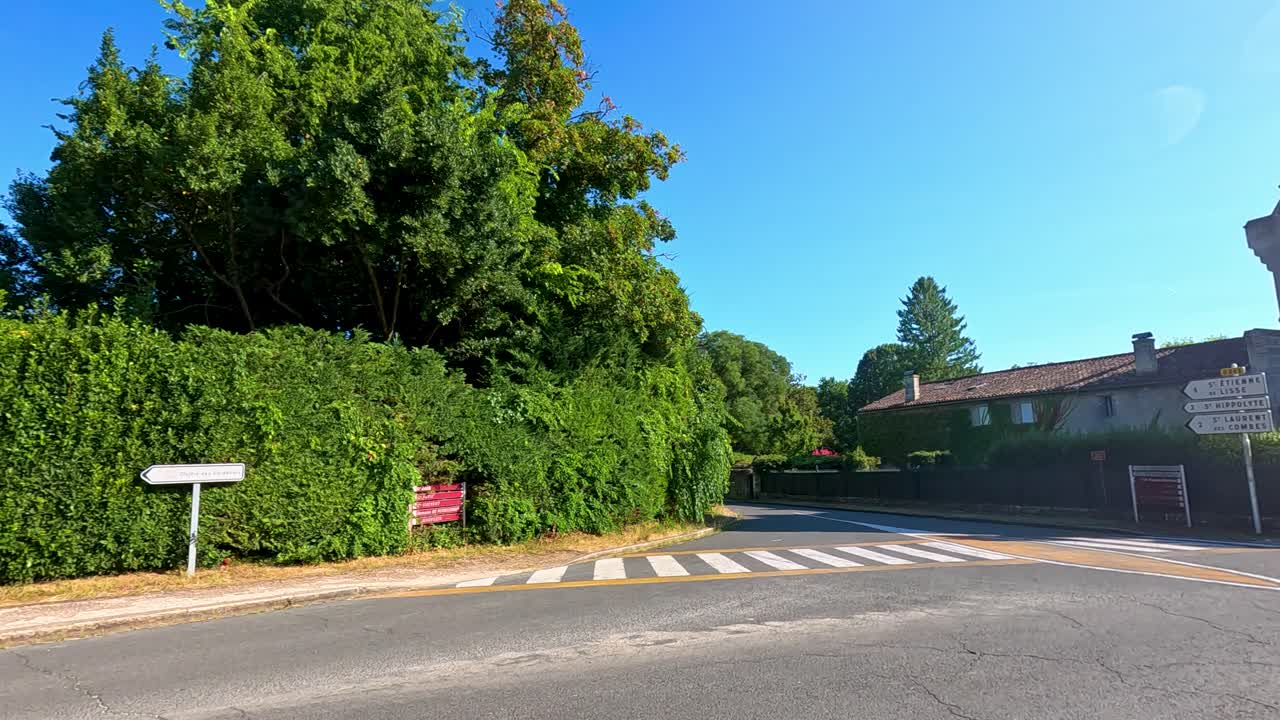 escena calmada de la calle con exuberante vegetación y arquitectura