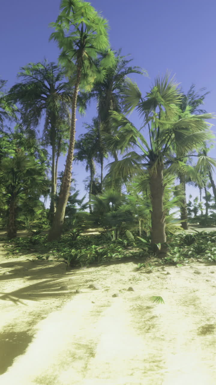Idyllic tropical beach with palm trees and clear blue sky near the ocean