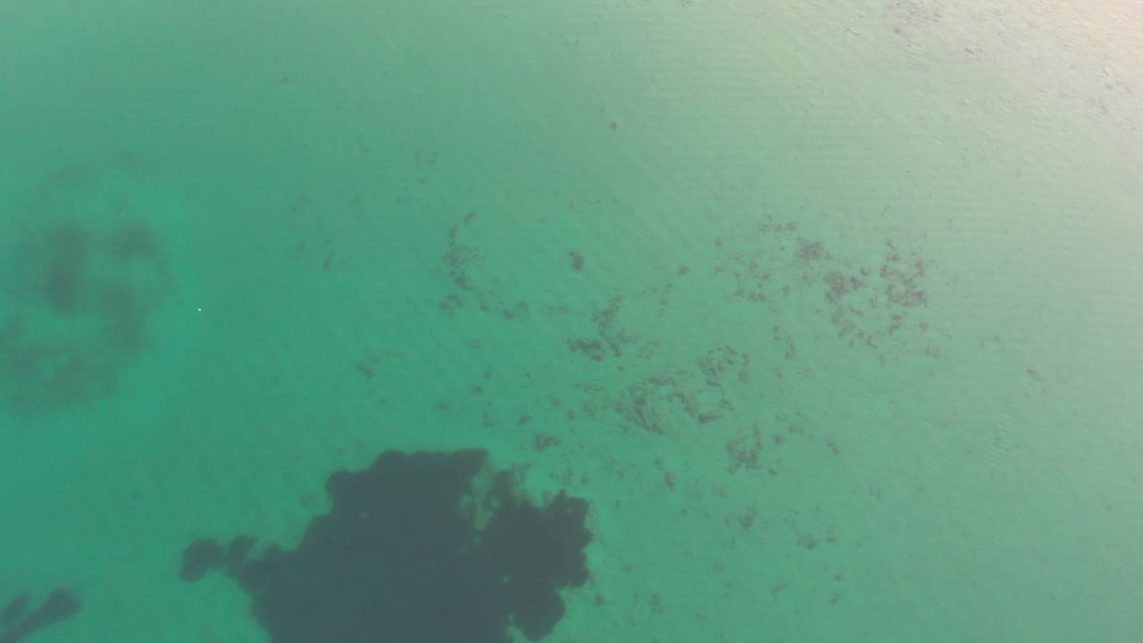 Filmato aereo 4K sulle acque poco profonde del Mare Adriatico