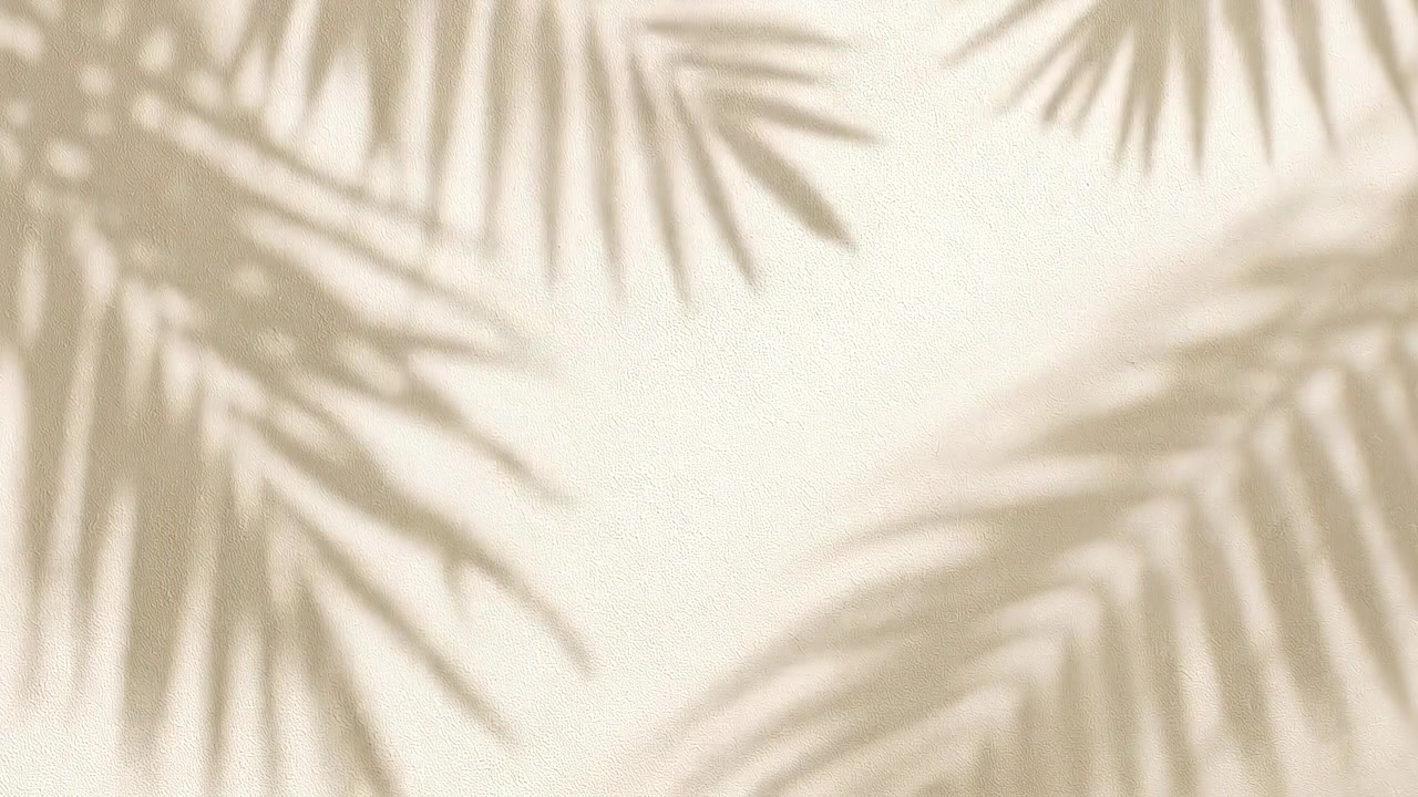 質感のある壁に揺れるヤシの葉の柔らかな影