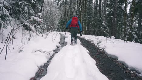 snowshoeing a flooded road on vancouver island, canada