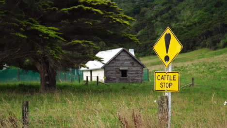 Viehstoppschild-Am-Straßenrand-Mit-Macrocarpa-Baum-Und-Holzhütte-Im-Hintergrund-In-Der-Landschaft-Von-Marlborough,-Neuseeland