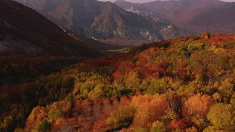 Vista-Aérea-De-Un-Bosque-En-Colores-Otoñales-Sobre-Una-Montaña