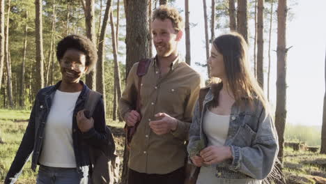 tres amigos paseando y divirtiéndose en el bosque