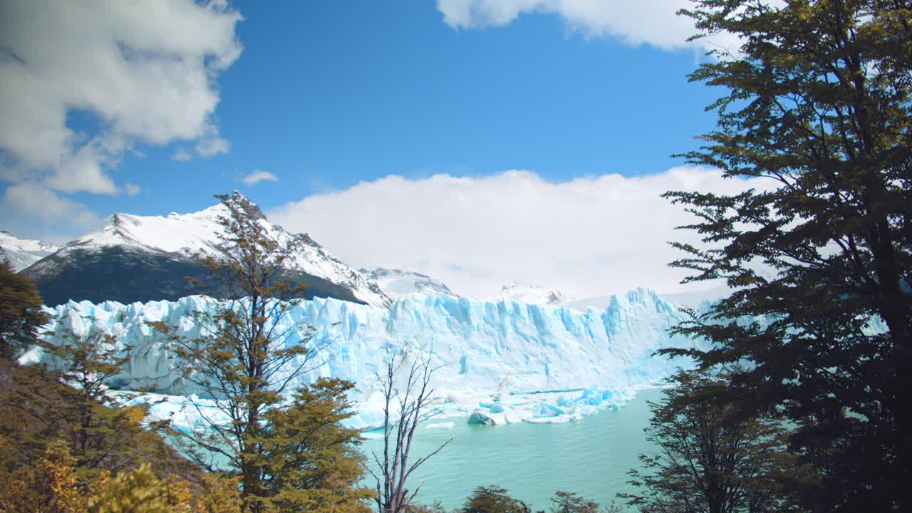 Vista del ghiacciaio Perito Moreno dalla foresta del Parco Nazionale.