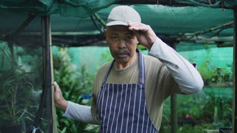 African-american-male-gardener-taking-off-cap-and-looking-at-camera-at-garden-center