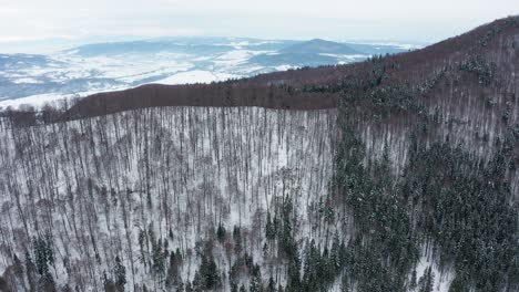 Luftaufnahme-Rückwärts-über-Verschneiten-Wald