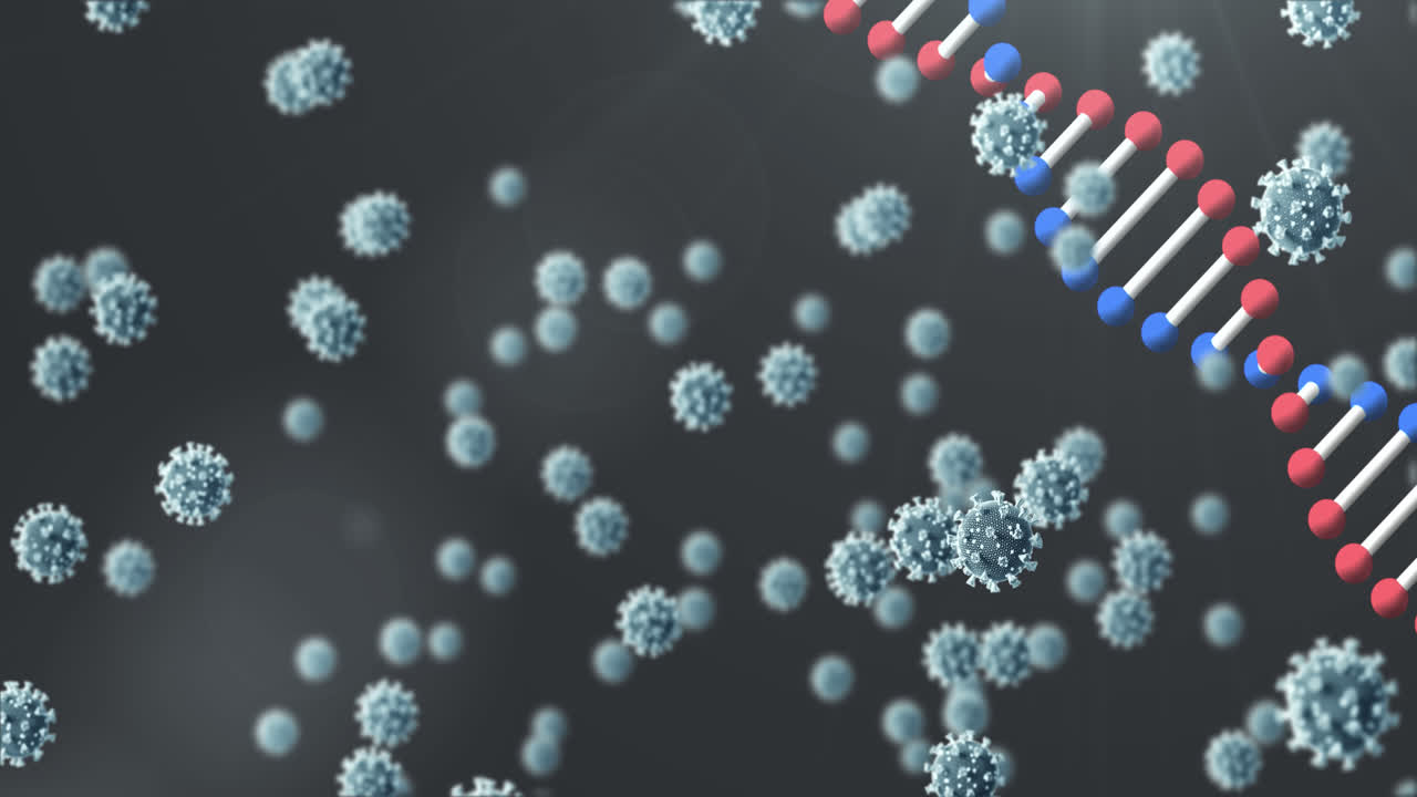 Animation de cellules COVID-19 et d'un brin d'ADN en rotation