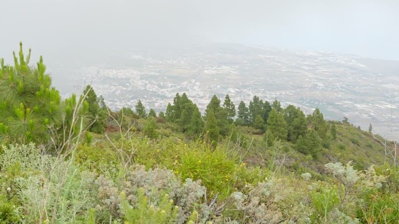 언덕 꼭대기에서, 스페인의 신비로운 자연을 바라보며 안개로  ⁇ 여 있습니다.