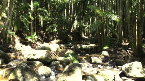toma de un dron de 4k de una corriente de río con muchas rocas y árboles caídos