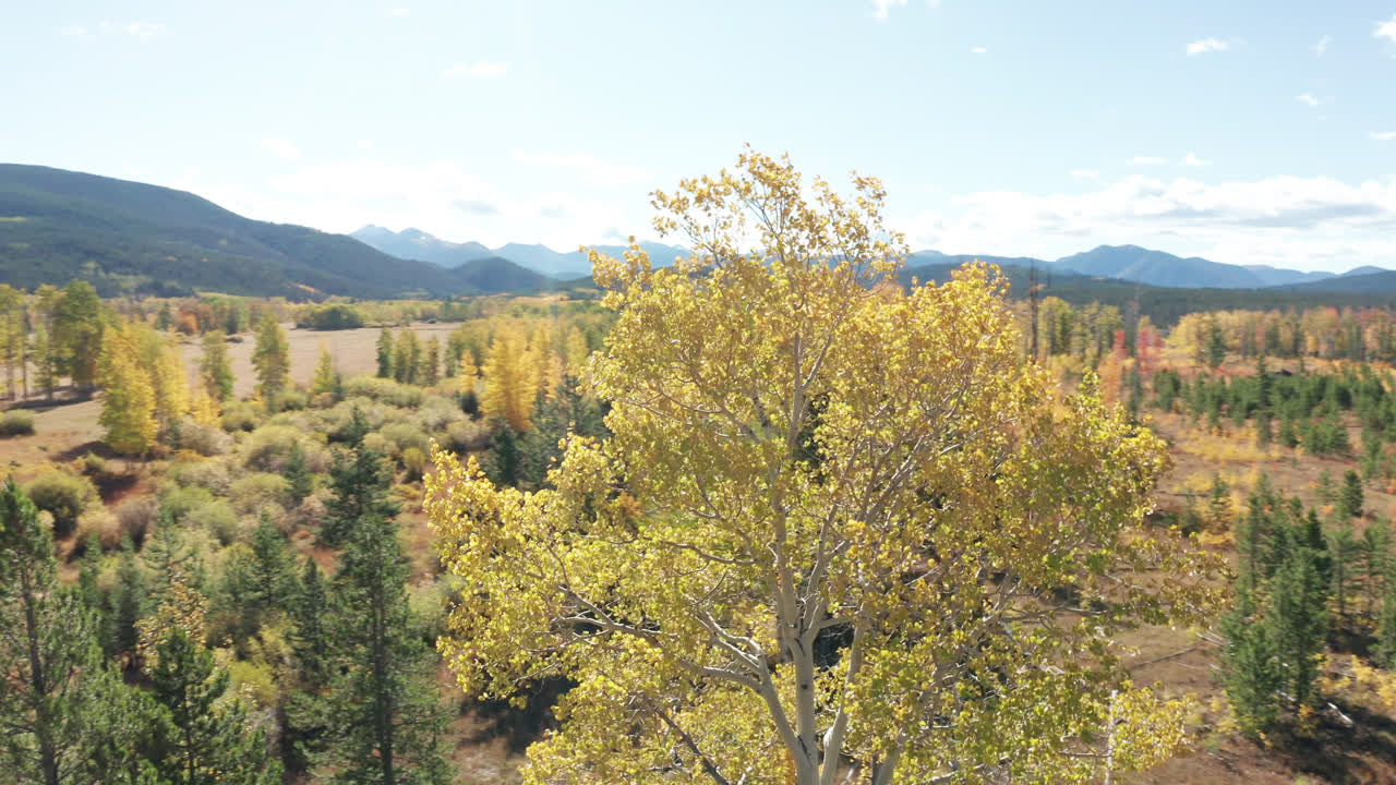imágenes de drones del norte de colorado de colores de otoño en las montañas