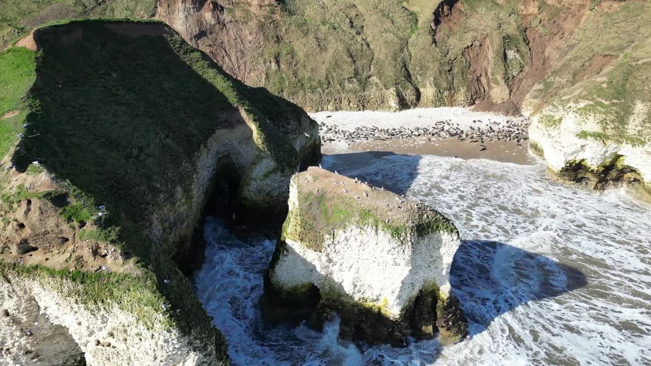 Drone pans over massive seaside cliffs in England, UK, showcasing their towering height and rugged beauty during daytime. Crashing waves enhance dramatic natural landscape