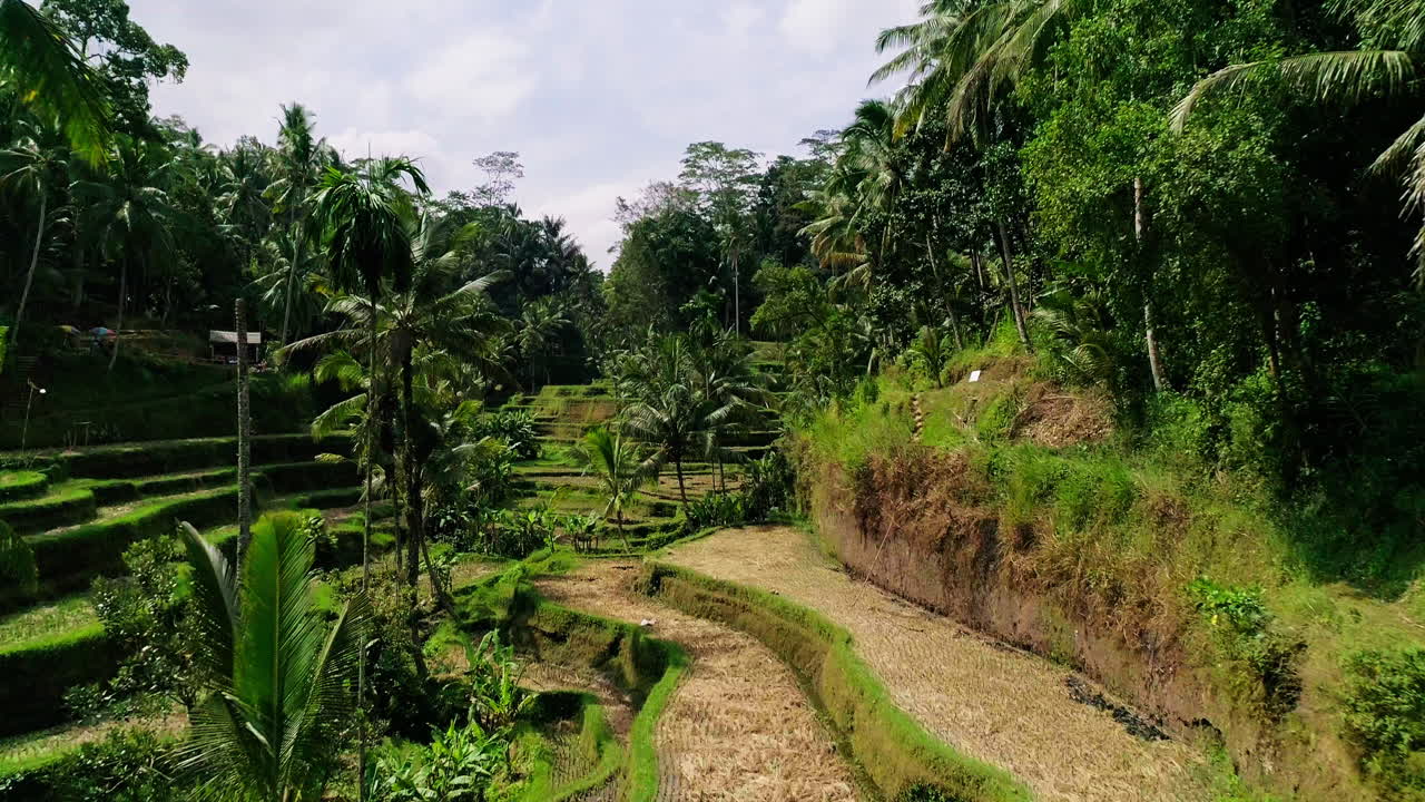 Majestic aerial footage of Mount Batur in Bali during sunrise. Glowing volcanic peaks, morning mist, and golden skies create a stunning scene—ideal for nature, travel, and adventure content