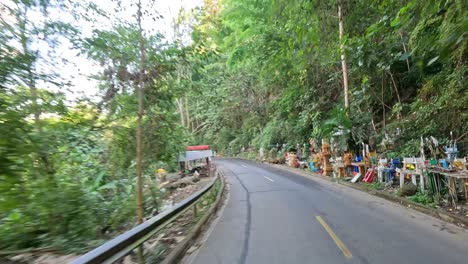 viajando más allá de un mercado en la carretera en una zona boscosa