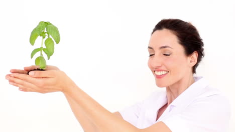 Scientist-holding-basil-plant