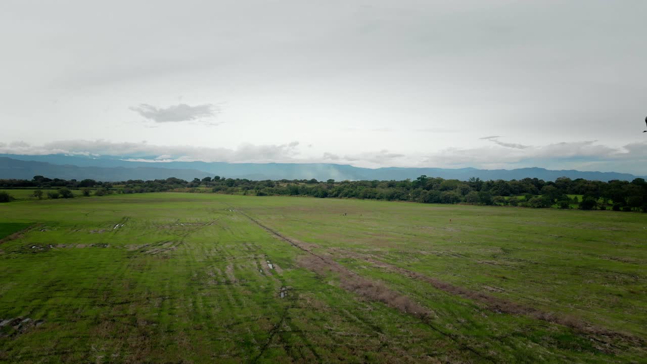 Birds flying over the rices fields, in Tolima Colombia