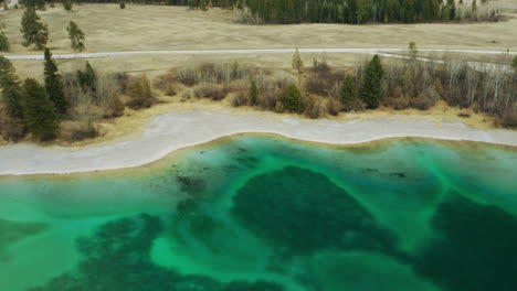 Sandy-shore-of-teal-clear-glacial-lake-with-trees-along-the-shoreline