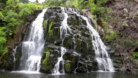 plano amplio de la cascada de owharoa falls cerca del desfiladero de karangahake en la península de coromandel en la isla norte de nueva zelanda