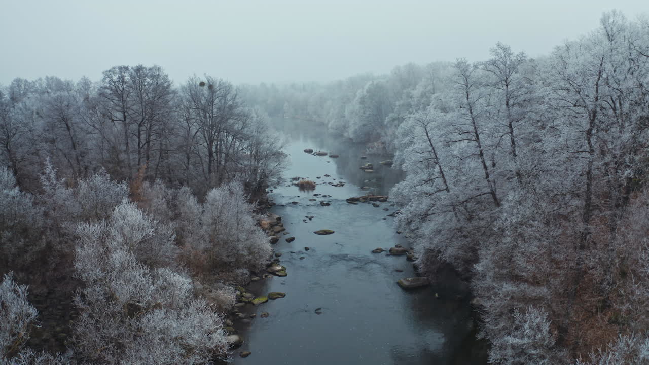 Forest and river at winter. Winter season aerial view of forest and river