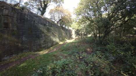 FPV-drone-weaving-through-dense-quarry-autumn-woodland-with-sunlight-shining-through-trees-and-foliage