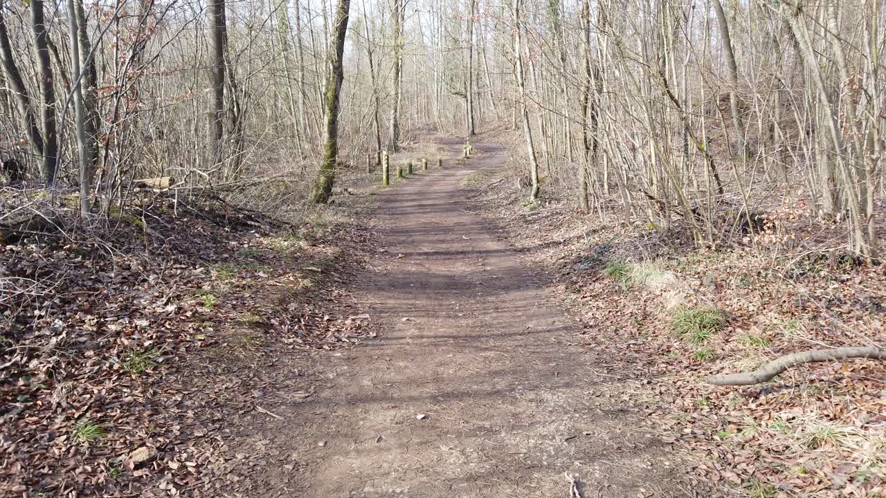 A serene and quiet forest path during autumn, surrounded by tall, bare trees and fallen leaves, creating a peaceful and natural atmosphere. Plateau de Malzéville Dommartemont, Nancy, France.
