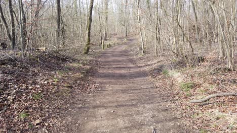 a serene and quiet forest path during autumn, surrounded by tall, bare trees and fallen leaves, creating a peaceful and natural atmosphere. plateau de malzéville dommartemont, nancy, france.