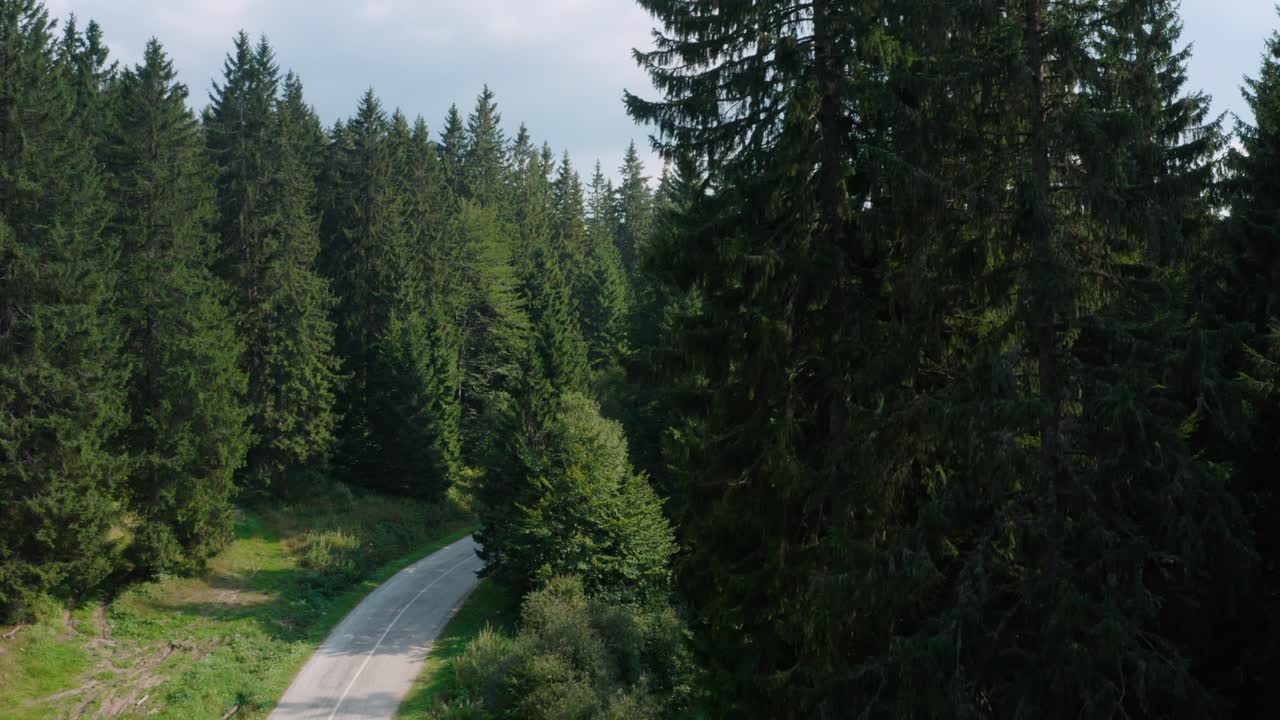 Mountain road through pine tree forest, summer rising aerial reveal