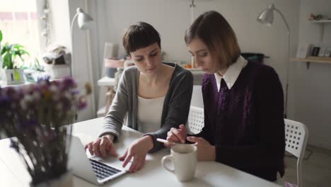 creative woman together friend choosing goods in online shop by notebook