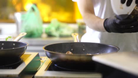 cocinero frito de comida
