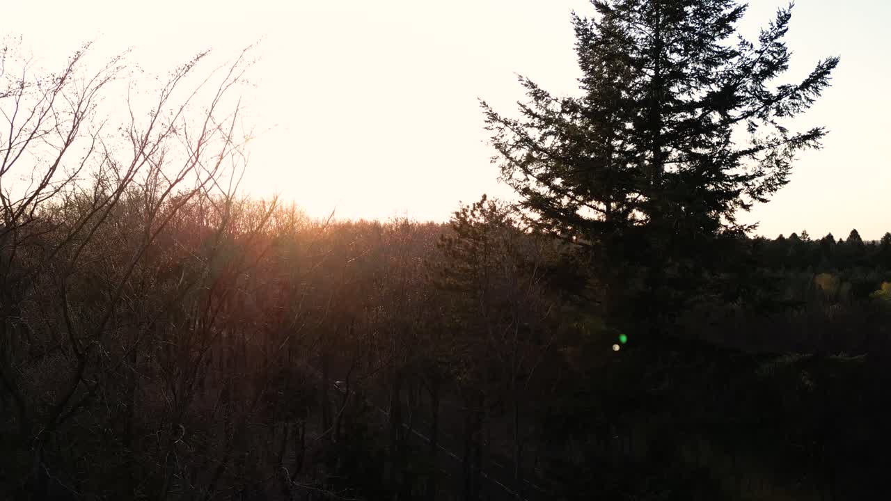 숲 위 에서 해가 뜨거나 해가 지는 모습