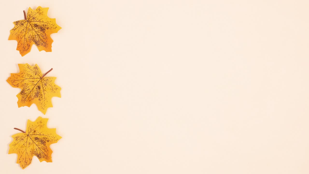 가을의 노란색 잎은 베이지색 배경의 왼쪽에 회전합니다. 움직임을 멈추십시오.