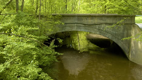 old bridge over a stream in forest