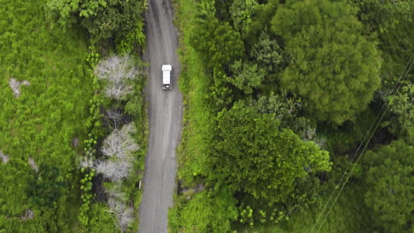 4x4 jeep touring car driving off road crossing jungle green deep vegetation aerial drone