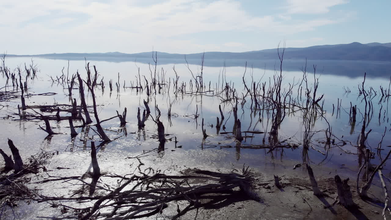 Jesienny krajobraz z lotu ptaka nad Jeziorem Dojran, prezentujący spokojne wody, wiejski krajobraz i niezwykłe, martwe drzewa w tym transgranicznym jeziorze bałkańskim.