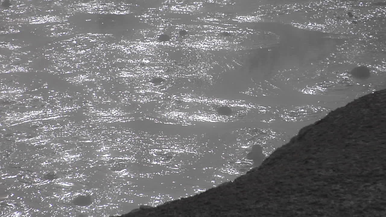 옐로스톤 국립공원 1의 회색 진흙 구덩이 거품