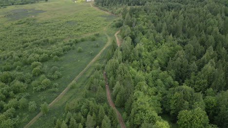 aerial view of a forest path with people hiking