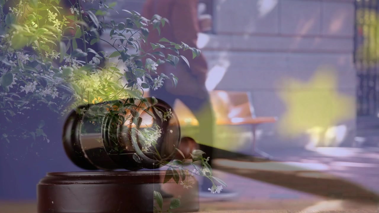 Camera pulling focus from plant and EU stars overlay, people moving, showing wooden gavel for law