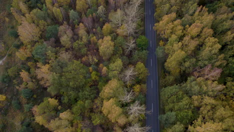 Aerial-view-of-a-coastal-road-flanked-by-forests-showing-early-fall-colors---HEL,-poland