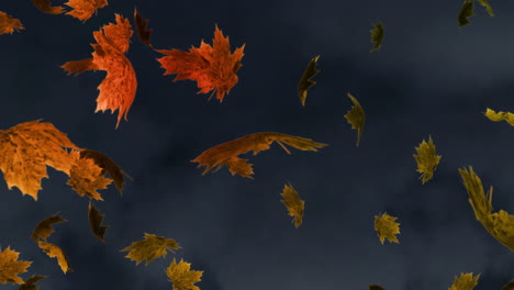 animación digital de múltiples hojas de arce de otoño flotando contra un fondo gris texturizado