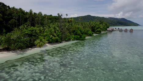 raja ampat aerial of the beach and reef on a hot sunny day