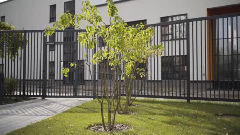 modern residential building with a garden