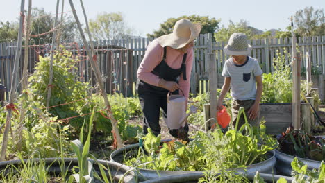 Ältere-Großmutter-Und-Enkel-Mit-Gemischter-Abstammung-Gießen-Pflanzen-Im-Sonnigen-Garten,-Zeitlupe,-Kopierraum