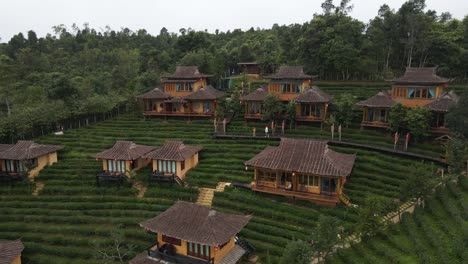 aerial drone shot over a small hotel cottage rooms surrounded by green tea planatation in ban rak thai, scenic chinese village in thailand at daytime