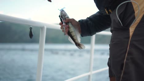 boat fisherman holds catched fish hanging on hook - close up