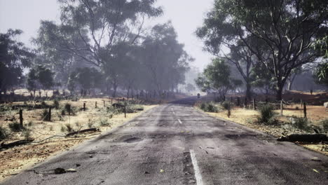 lonely road through a misty forest in the early morning light
