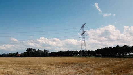 quick overview of wheat field with several high voltage pylons, 's-gravenpolder, zeeland, netherlands