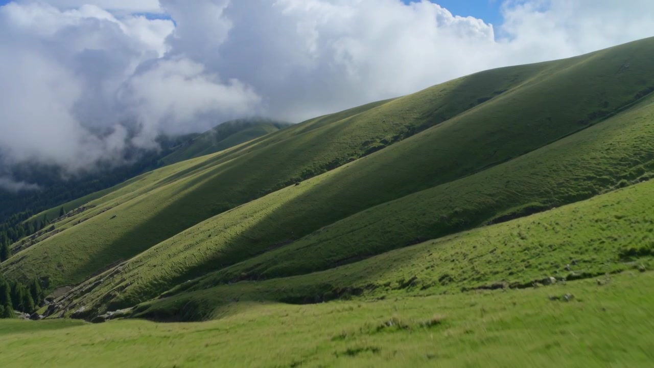 Lancio di un drone che sorvola dolci colline verdi in un pascolo di montagna, rivelando un burrone e una nuvola.